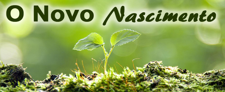 O Novo Nascimento