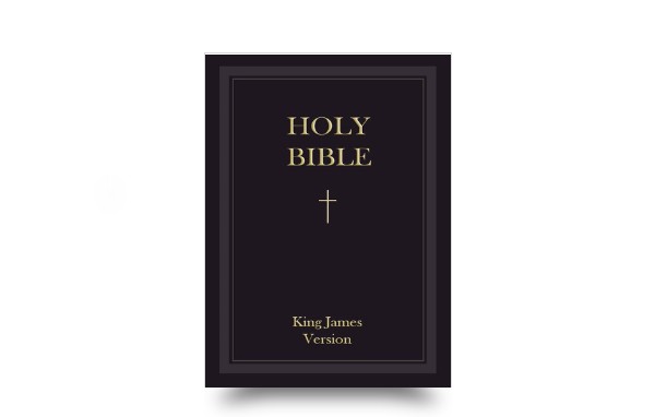 WHO IS THE AUTHOR OF THE BIBLE?
